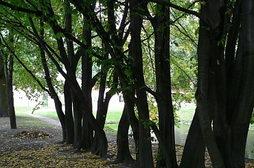 Bialystok #bialystok #miasto #polska #kraj