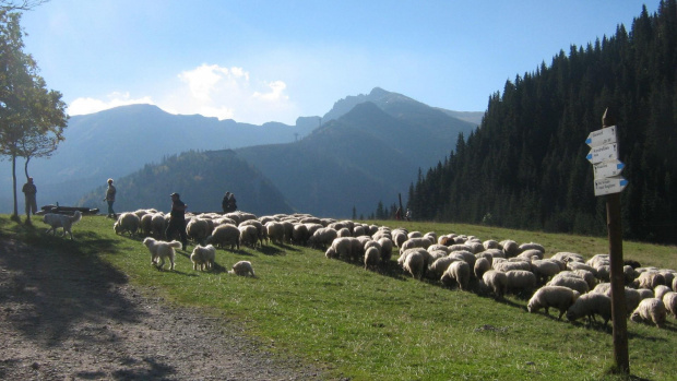 tatry