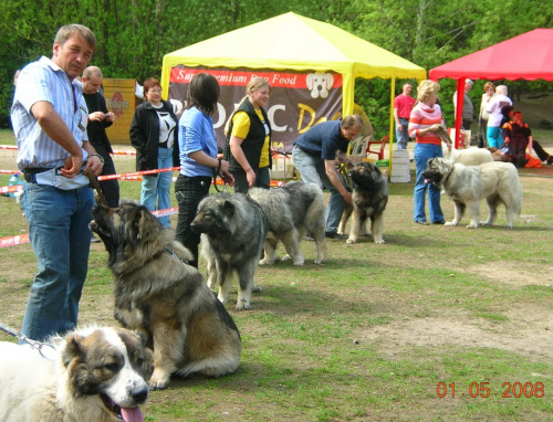 klubówka Moskwa 2008