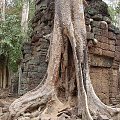 Ta Prohm