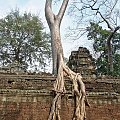 Ta Prohm