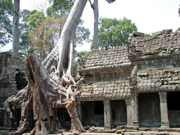 Ta Prohm