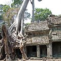 Ta Prohm