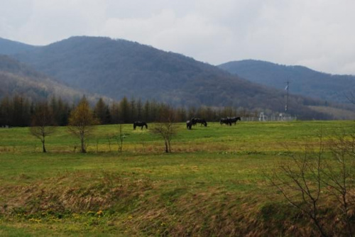 Bieszczady