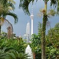 Kuala Lumpur Orchid Garden Ogród Orchidei) i widok na Petronas Towers oraz Menara Kuala Lumpur