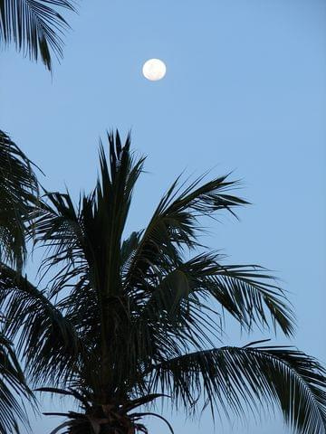 plaża Long beach o zachodzie słońca, Pulau Perentian Kecil (Wyspa Przystanek Mały)