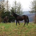 Bieszczady