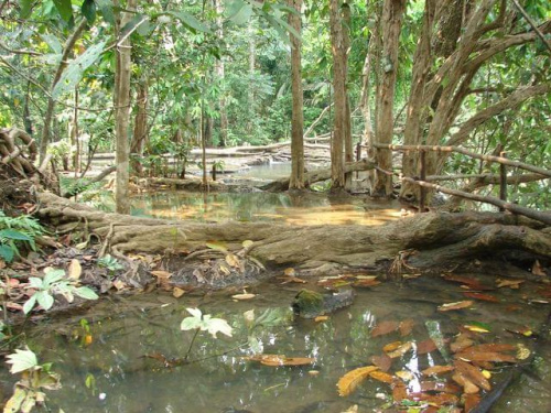 wodospad Tad Sae, okolice Luang Prabang