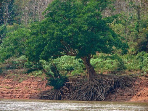 przejażdżka łódką po Mekongu na północ od Luang Prabang