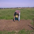 2 maja 2008 - pierwszy trawnik w naszej posiadłości ... kocyk się zmieści :)))