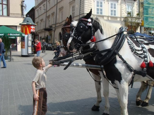 Pawełek i Jasio w Krakowie i Tatrach-maj 2008 z Agatką i Adasiem