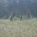 #militaria