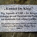 Pamiątkowa tablica przy kamieniu Św. Kingi #góry #rower #przehyba #BeskidSądecki