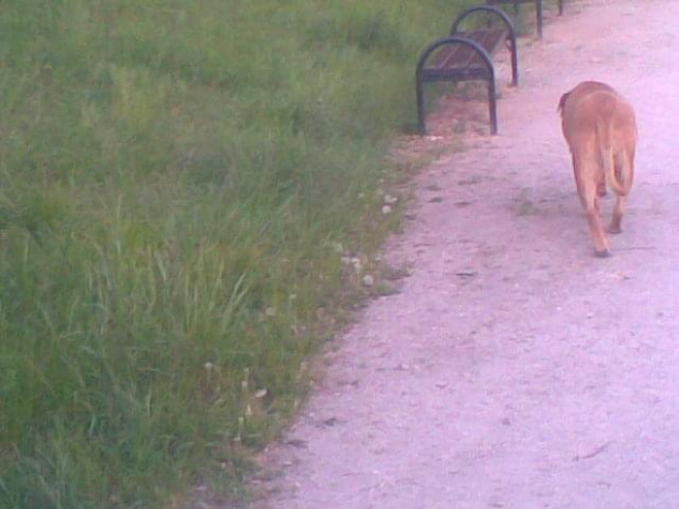 Party Trip (poznań)