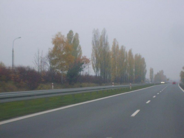 DK44 Oświęcim - Tychy
