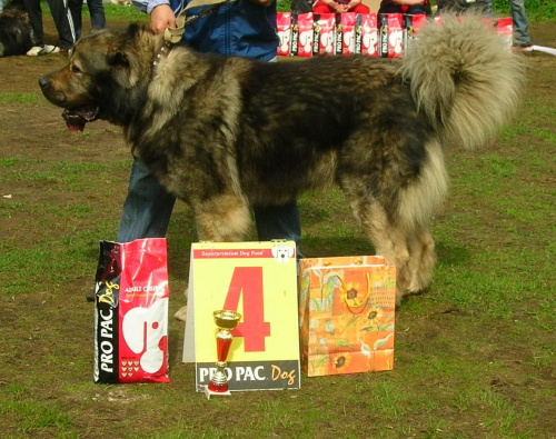 Klubówka Moskwa2008