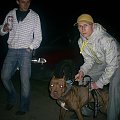 Krakow 2008 Pit bull bolecin