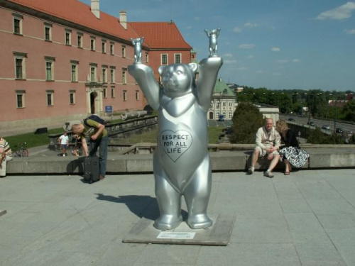Stare Miasto i okolice w czasie wystawy niedźwiedzi.
