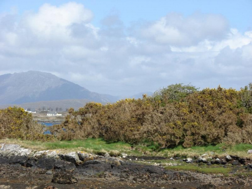 Connemara