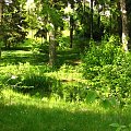 ogród dendrologiczny w P-ń #las #ogród #zieleń #widoki #stawy