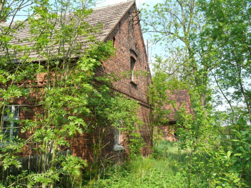 widok domu, niestety jeszcze zarośnięty