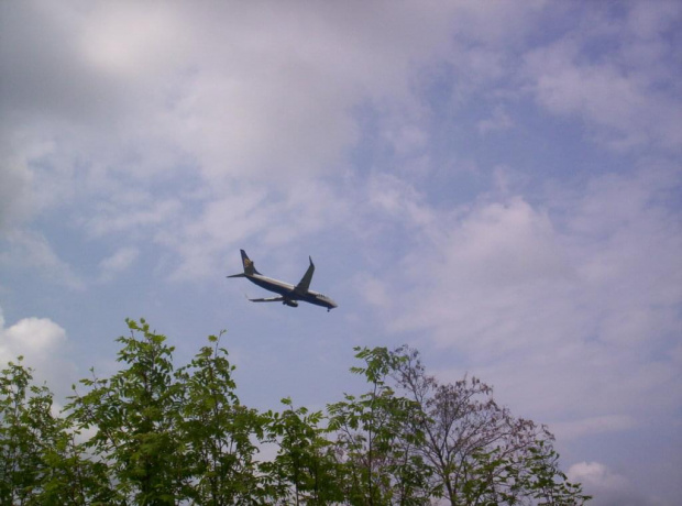 boeing 737-800