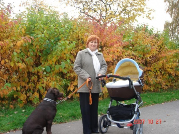 Z dumną babcią i psem-ignorantem na spacerku