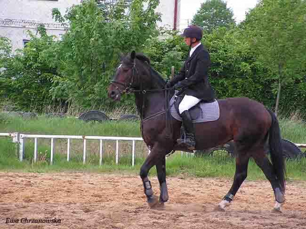 17.05.2008 Zawody w Stodołach