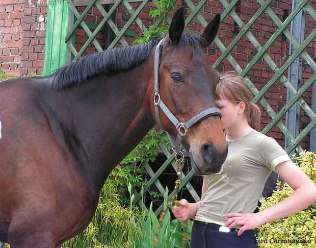 17.05.2008 Zawody w Stodołach