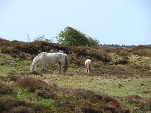 na Connemara