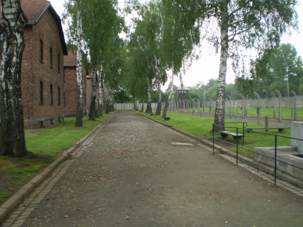 AUSCHWITZ