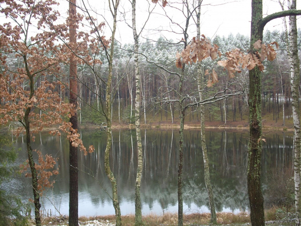 #jezioro #drzewa