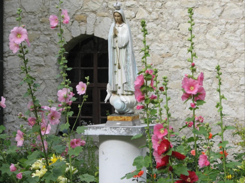 ogródek u Franciszkanów