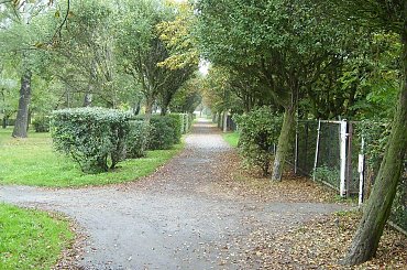 #iNOWROCŁAW #WIDOKI #SOLANKI