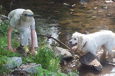 super psina i to dziewczyna #GoldenRetriver
