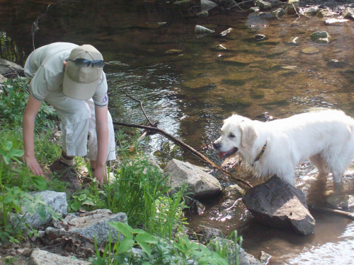 super psina i to dziewczyna #GoldenRetriver