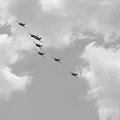 #samolot #samoloty #lotnictwo #akrobacja #niebo #WPowietrzu #chmury #AkrobacjePodniebne #orliki