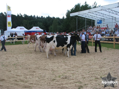 Opolagra 2008 | AgroPort.pl