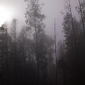 Mgła na szlaku na Luboń Wielki