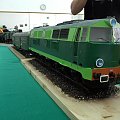 WAK 208