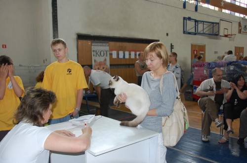 Wystawa Kotów Rasowych w Krakowie - niedziela 08.06.2008 #wystawa #koty #Kraków