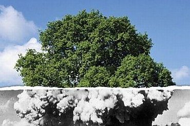 Cud natury ;) #humor #dowcip #śmieszne #smieszne