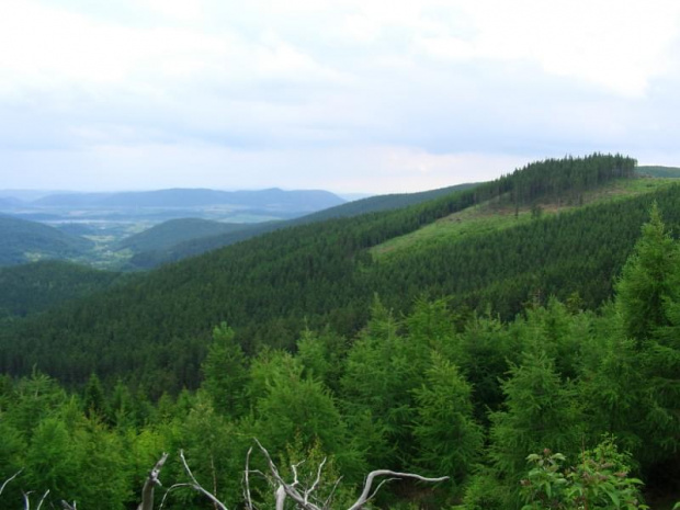 Widok podczas wjazdu na Przełęcz Okraj