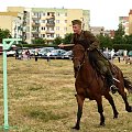 #konie #Suwałki #PiknikKawaleryjski
