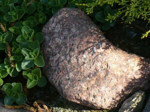 Na skalniakach też się dzieje - często się zastanawiamy, co musiały przejść kamienie, żeby tak wyglądać