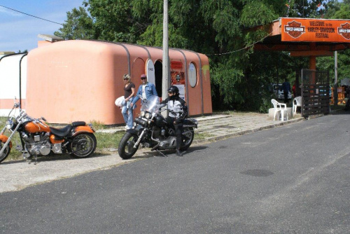 #Harley #HarleyDavidson #Zlot #Balaton #Motocykl