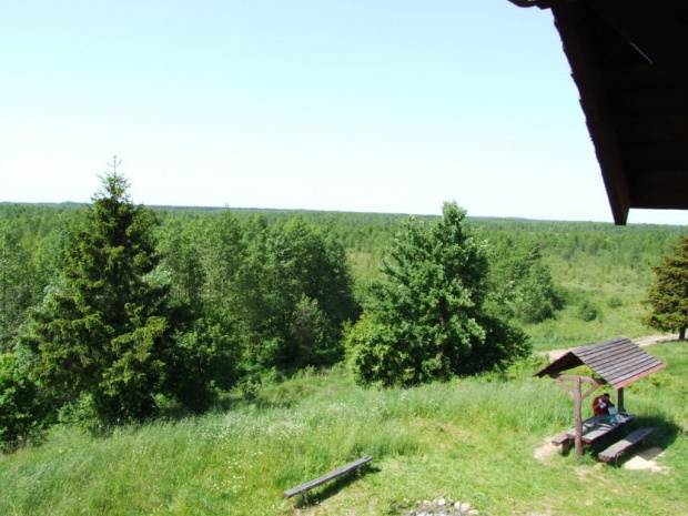 rzeka Biebrza i punkt widokowy na Biebrzański Park Narodowy. jak to opisał kol Siwy "zaj... morze zieleni"