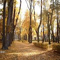 Bialystok/jesien w palacowym parku