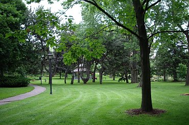 w parku #park #Toronto #Czerwiec2008