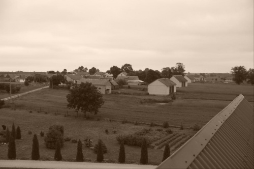 Widoki z dachu mojego domu! #widok #ogród #dach #sępia #obraz